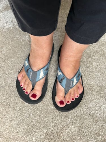 Customer photo review of Labrador Retrievers