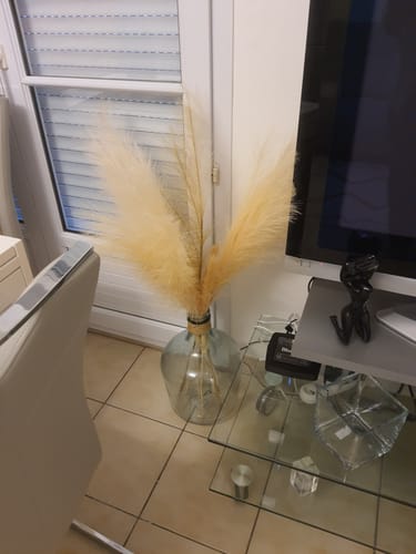 Customer photo review of Pampas 110cm (3 tiges)- Crème