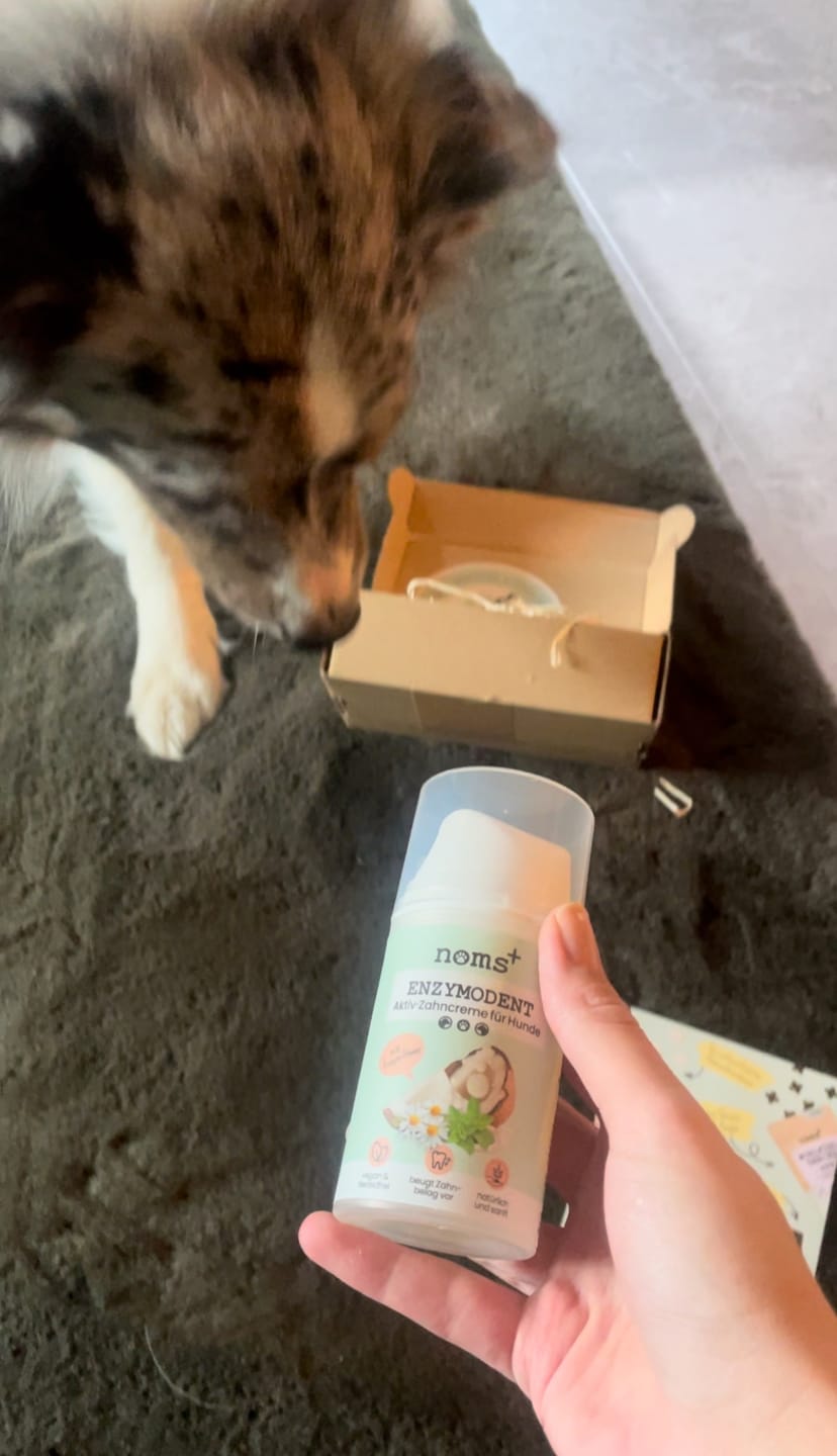 Customer photo review of Enzymodent: Enzymatische Zahnpasta für Hunde mit natürlicher Pflege- und Präventionsformel