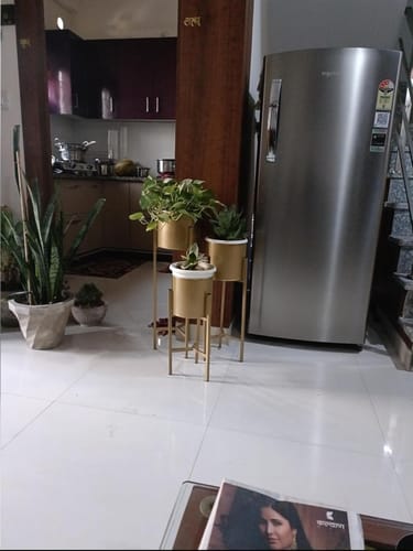 Customer photo review of Modern Big Tall Premium Metal Pots Stands for Home Decoration ( Set of 3 )
