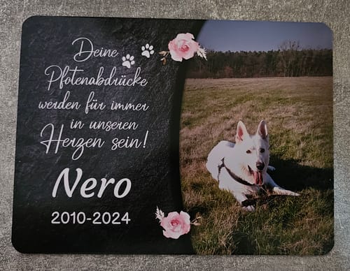 Customer photo review of Hunde Gedenktafel mit Foto & Spruch (UV- &  Wetterfest)