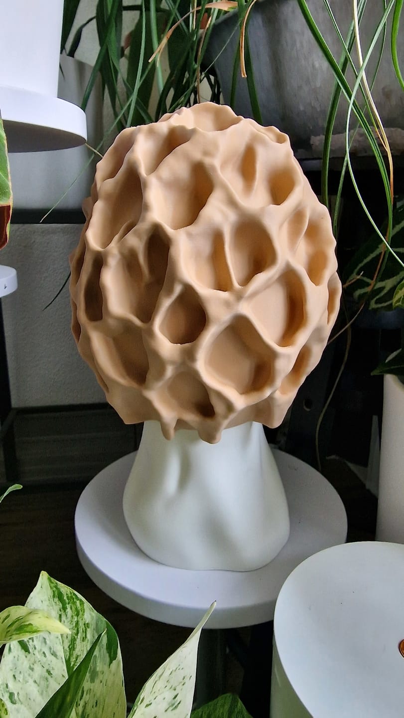 Customer photo review of Pilz Lampe: Morchel Pilz