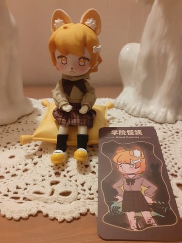 Customer photo review of School of Fancies BJD Blind Box - School Haunting Series