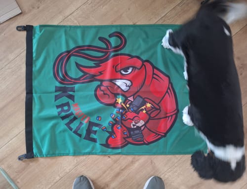 Customer photo review of Fahne inkl. Druck