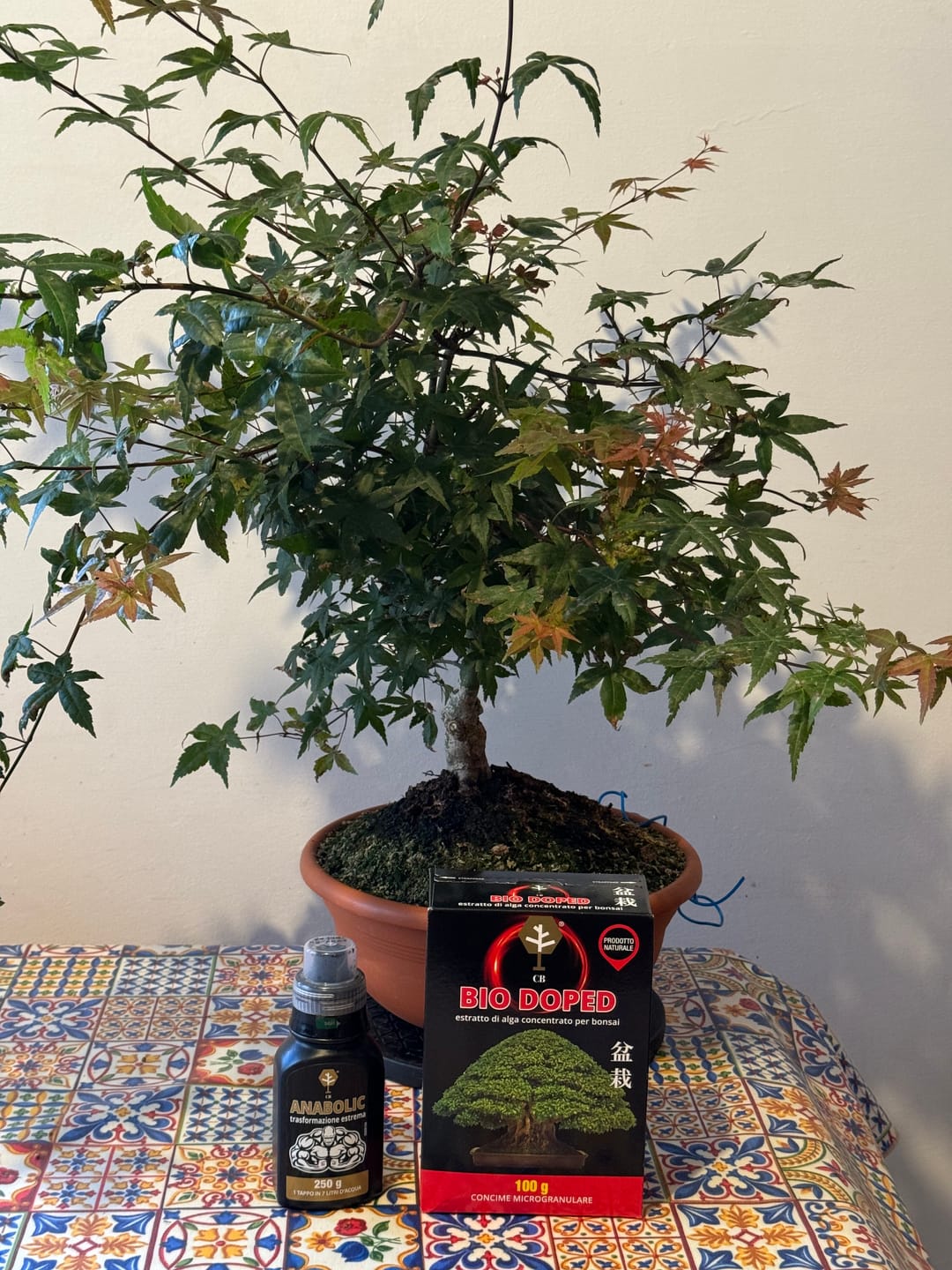 Customer photo review of BIO DOPED X2 PACK