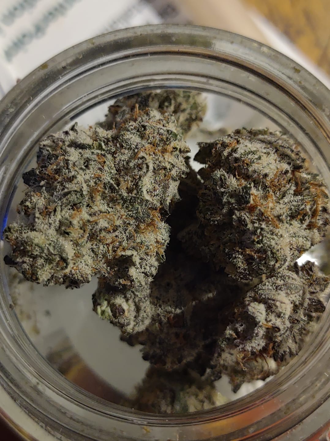Customer photo review of Gelato 45 - THCa Flower