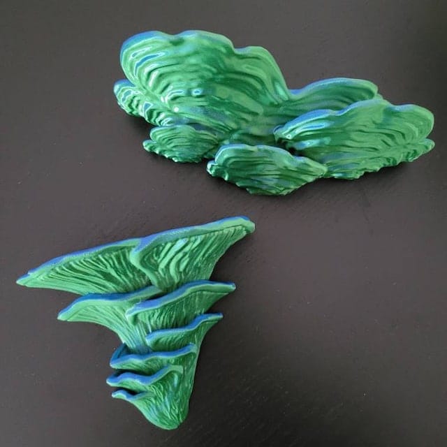 Customer photo review of Schichtpilz Wandregal