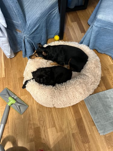 Customer photo review of CalmBed - Motverkar stress & hjälper mot ångest