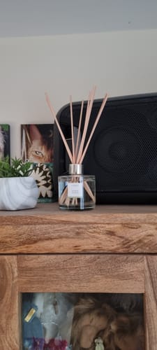 Customer photo review of Pear & Freesia Reed Diffuser