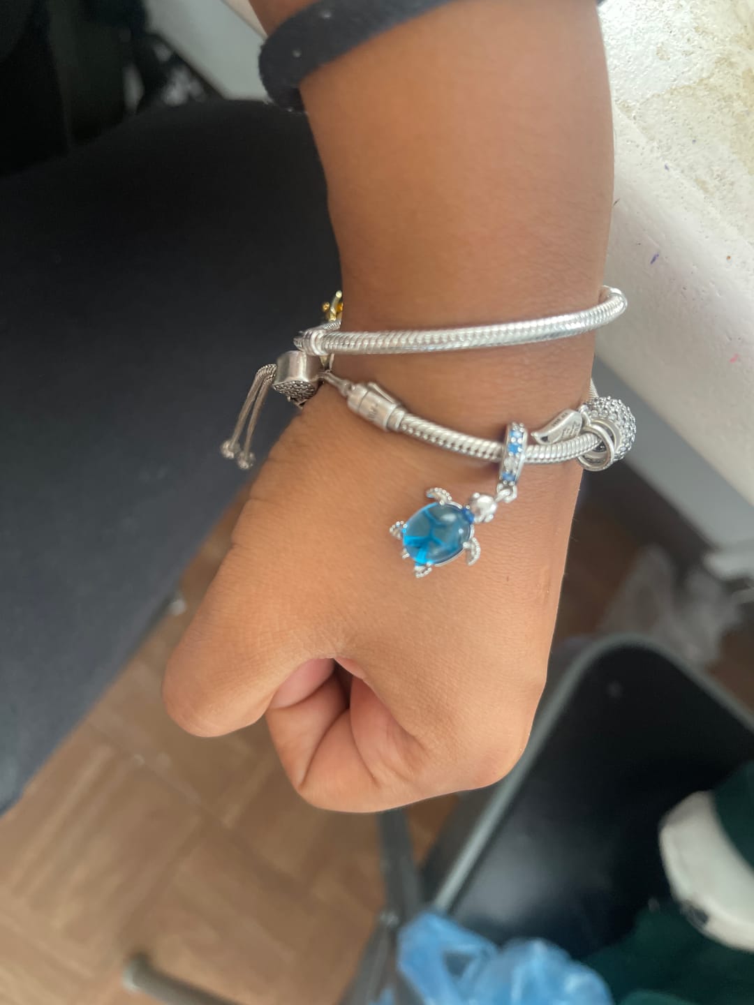 Customer photo review of Charm Tortuga