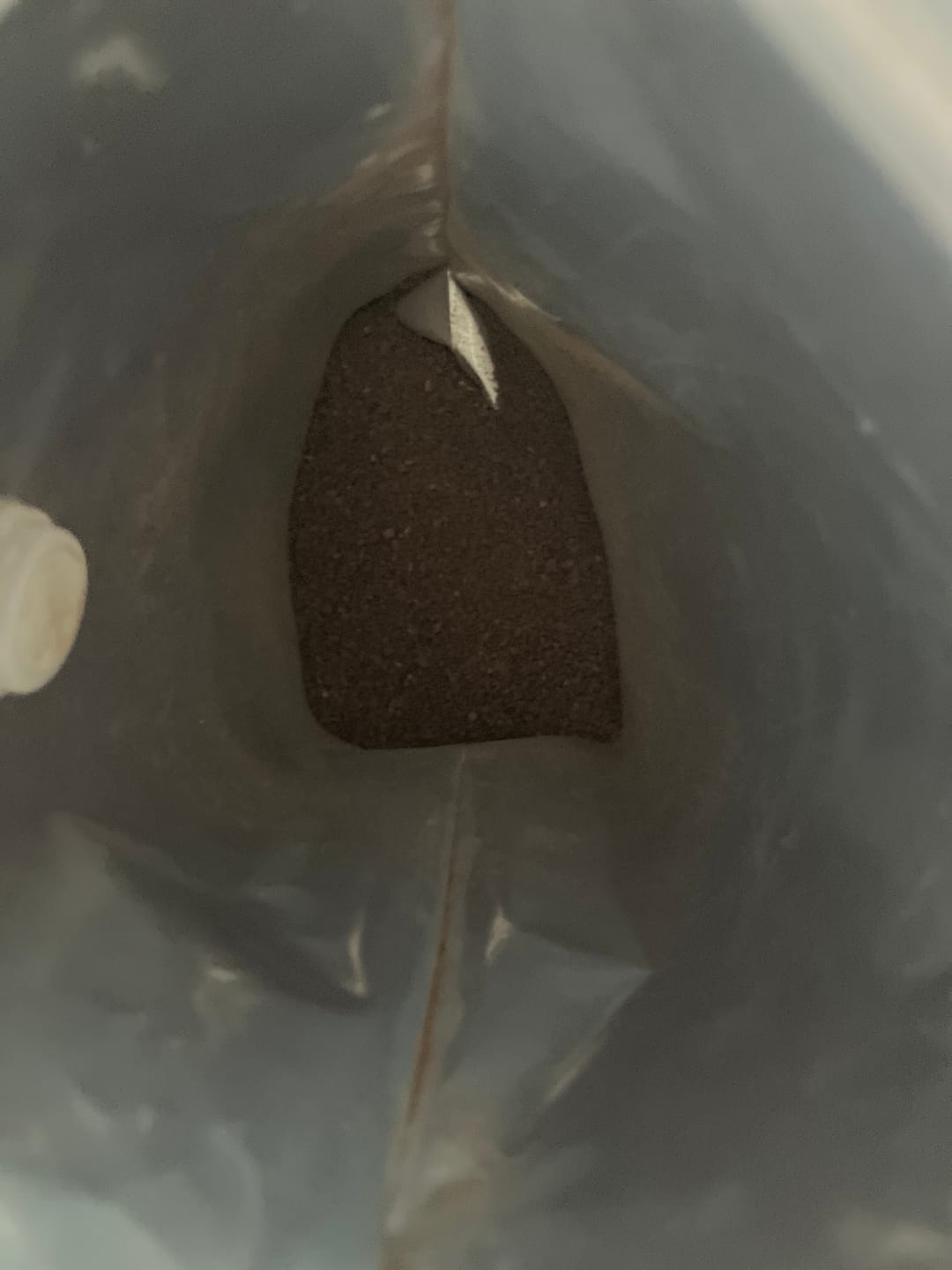 Customer photo review of Guatemalan Antigua  - Limited Edition