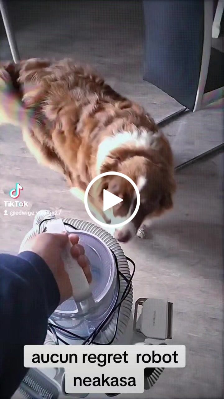 Customer video review of Neakasa P2 Pro 5-in-1 Dog Cat Grooming Kit with Vacuum