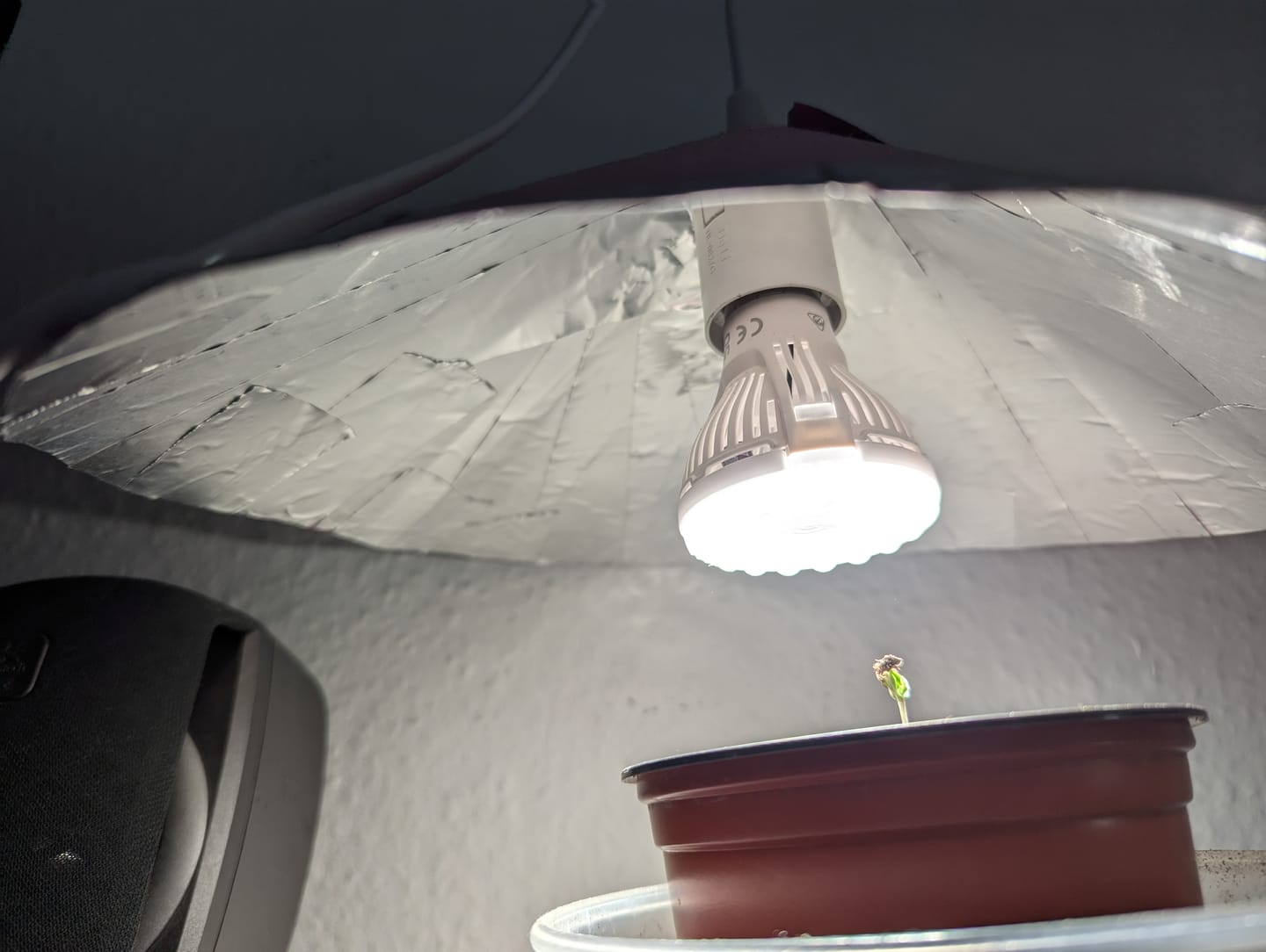 Customer photo review of Pflanzenlampe Sansi LED