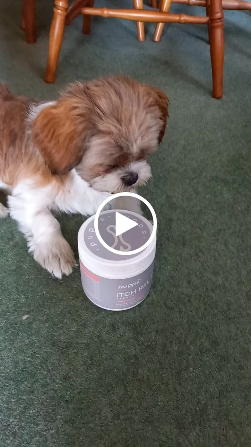 Customer video review of Itch Relief Treats