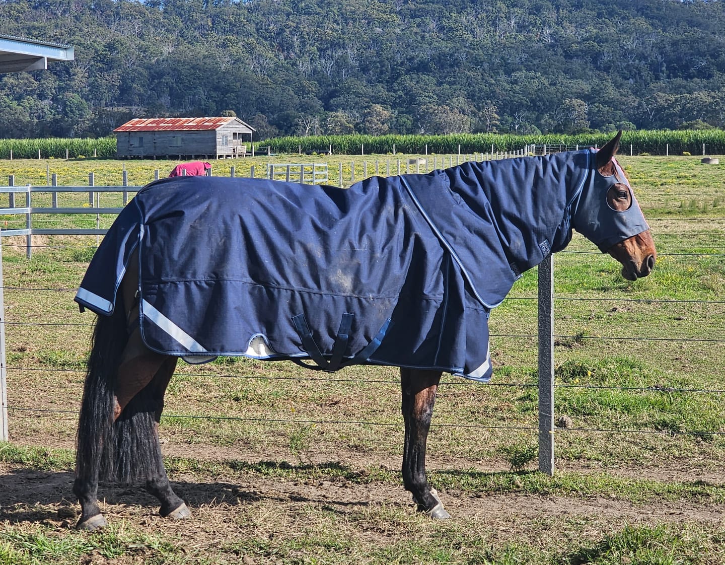 Customer photo review of LE Boxter Turnout Ripstop 200g