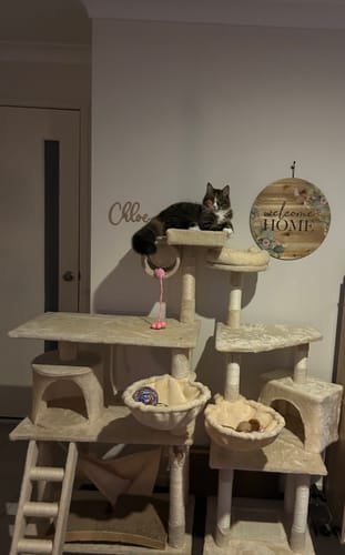 Customer photo review of PaWz 130cm Cat Tower Scratching Climbing Post