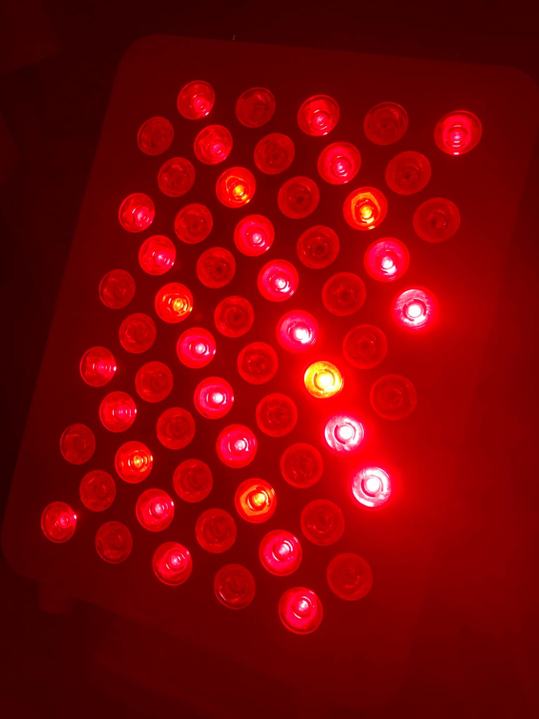 Customer photo review of Lumina Mini