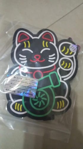 Customer photo review of Fortune Cat Turbo JDM LED