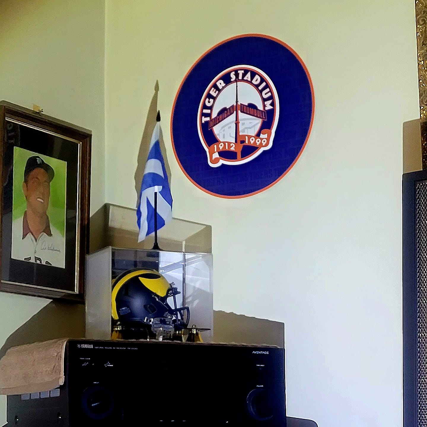 Customer photo review of Detroit Tigers CRAFT SERIES 3D Embossed Metal Wall Art