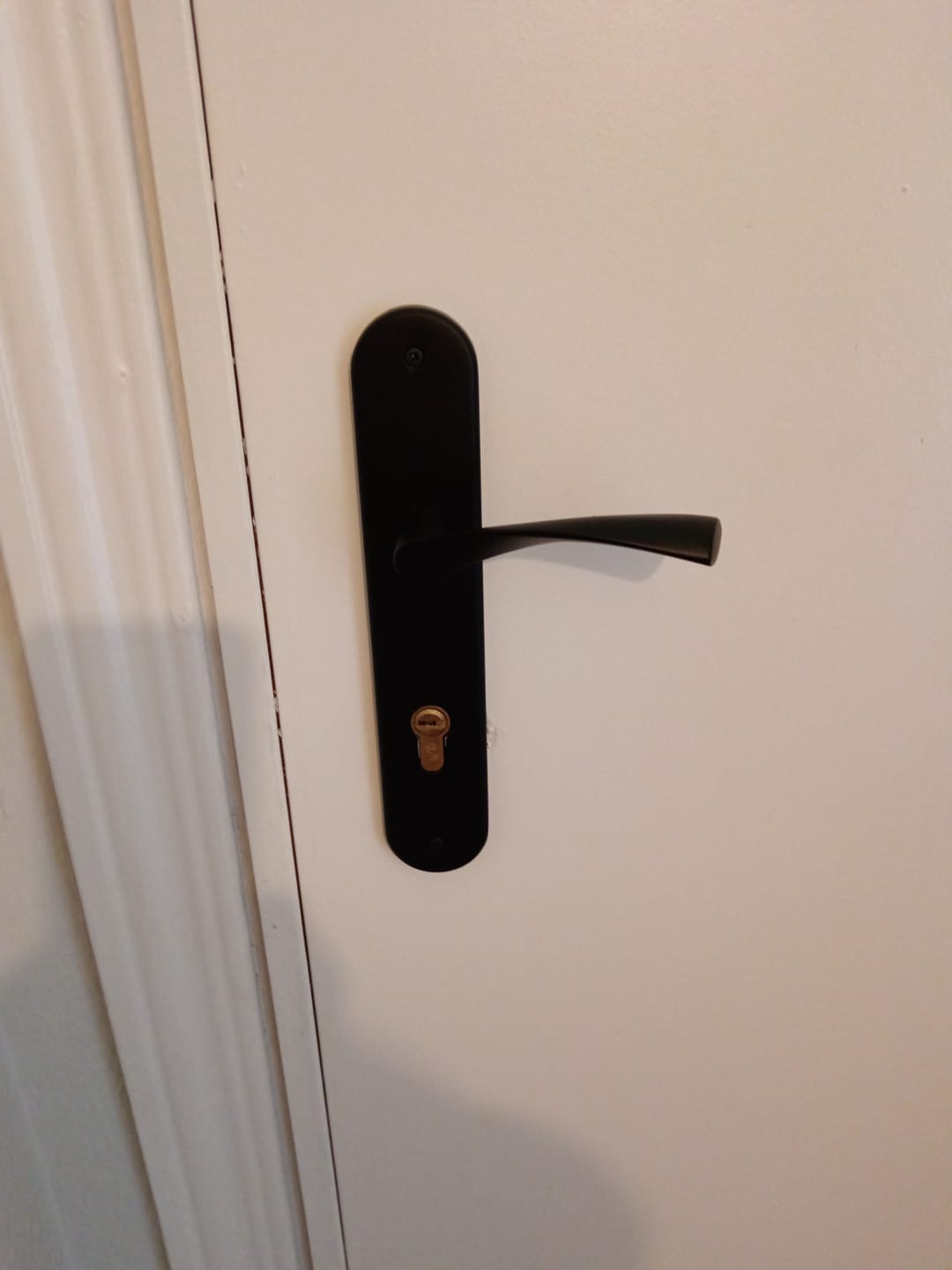Customer photo review of Manilla ola modelo '130' de zamak con placa ovalada acabado negro mate para puertas