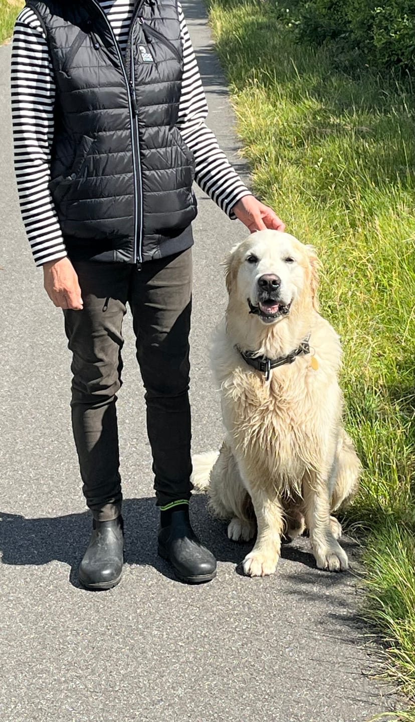 Customer photo review of Vatteret Hundeluftervest | Sort | Obelix