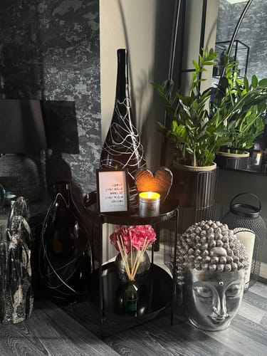 Customer photo review of Wild Mint 250ml Room Diffuser