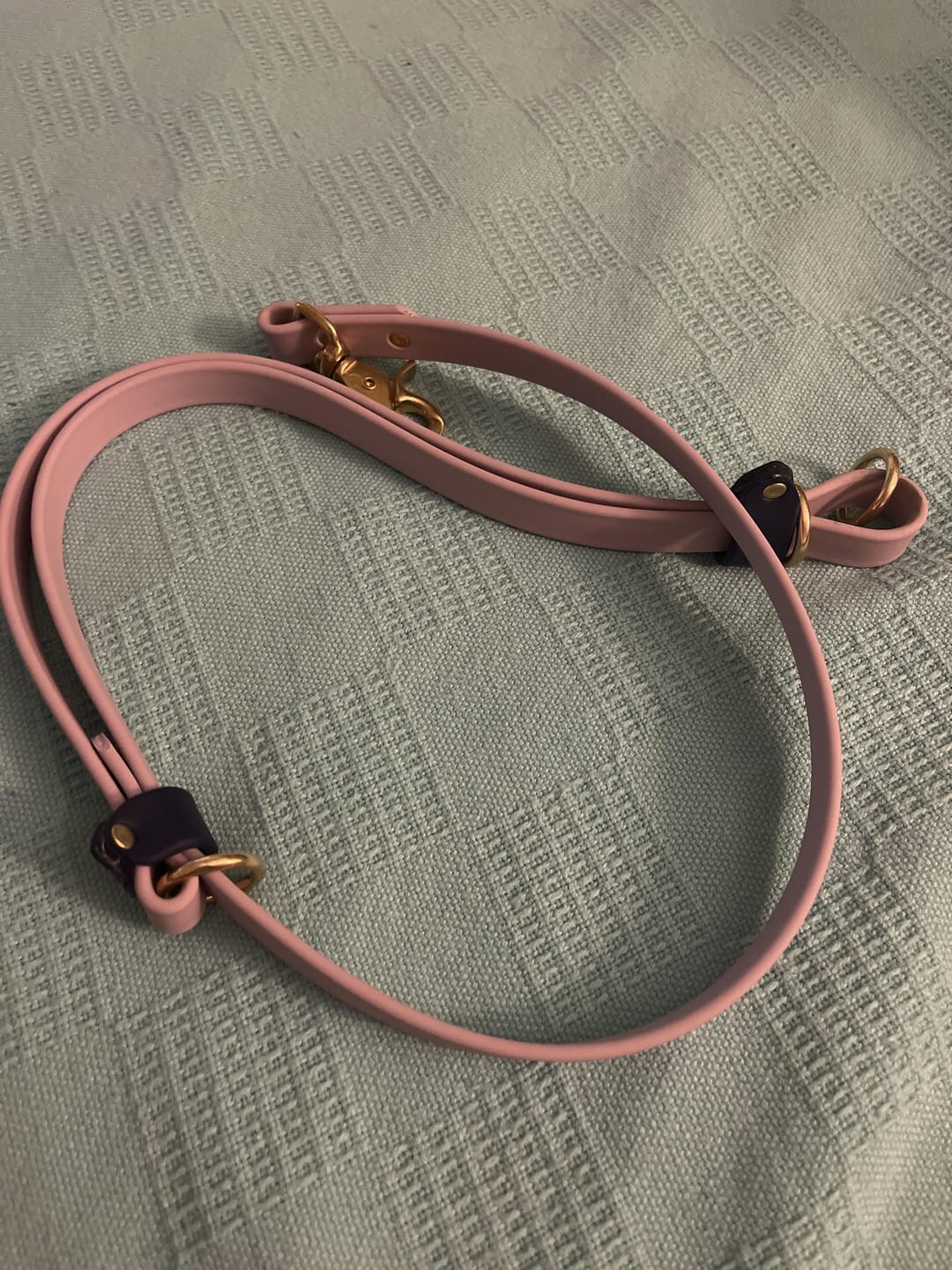 Customer photo review of Handsfree Leash Adapter
