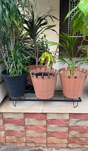 Customer photo review of United Crafts Indoor/Outdoor Flower Pot/Plant Stand (Set of 4)