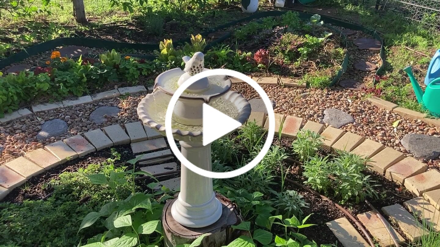 Customer video review of Solar Fountain Pump & Panel w/ Inbuilt Battery - 250LPH