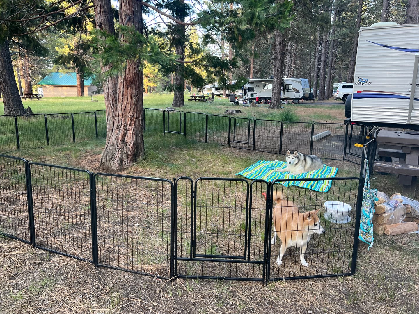Customer photo review of Easy-Carry Straps for Carrying Your Dog Playpen