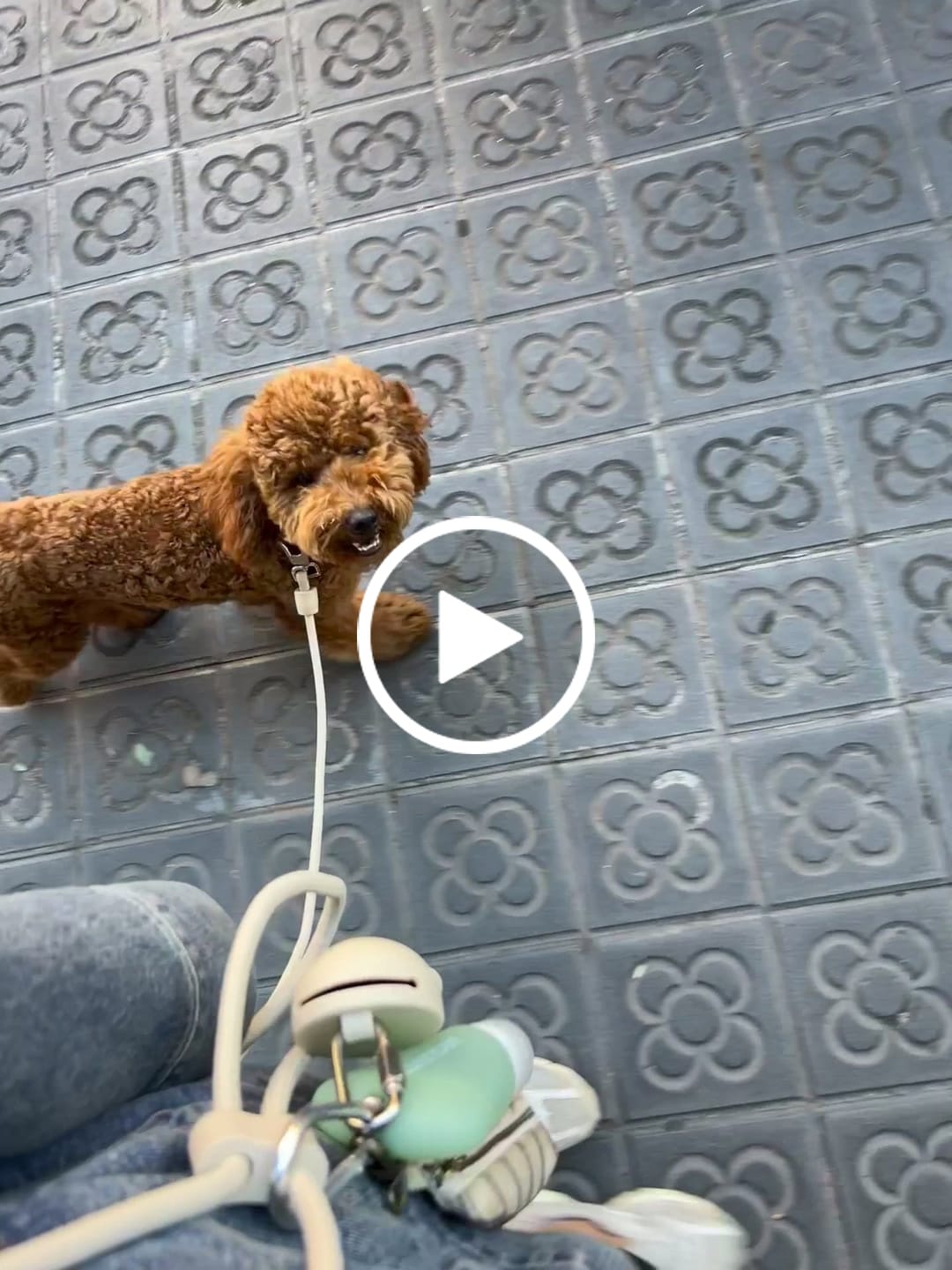 Customer video review of HANDS FREE LEAD - Cream