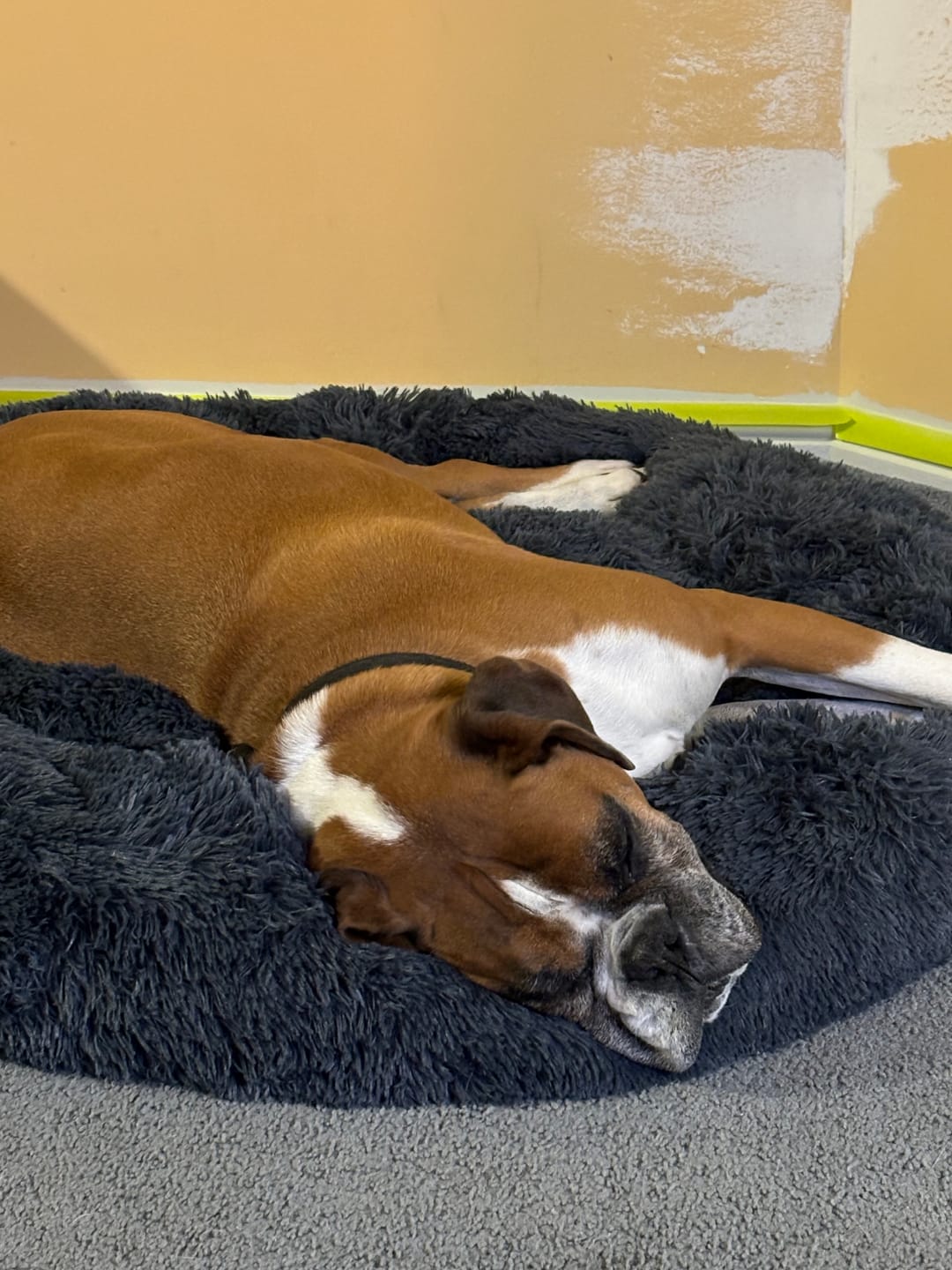 Customer photo review of Brooklyn® Ultra Memory Foam Bed