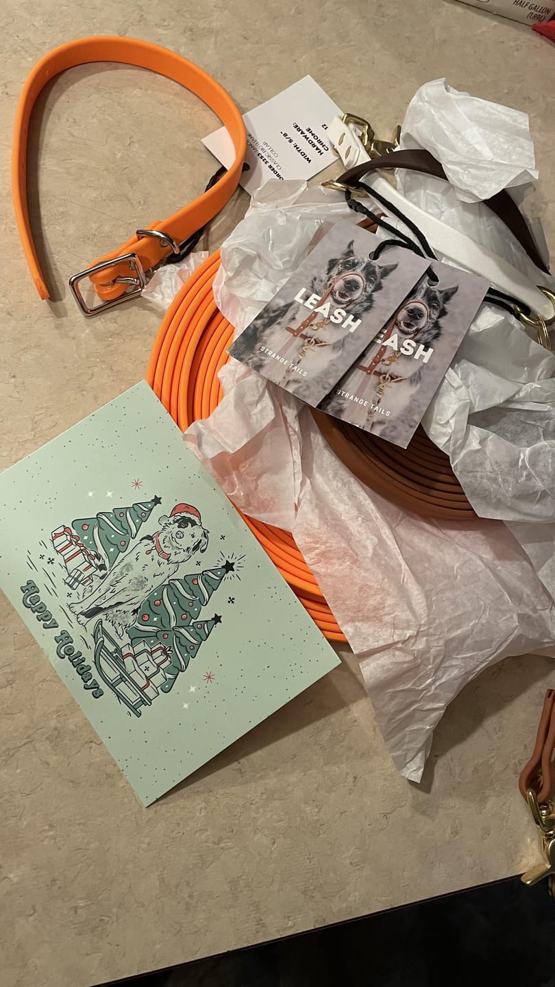 Customer photo review of Biothane Long Line Leash for Dogs with Detachable Handle