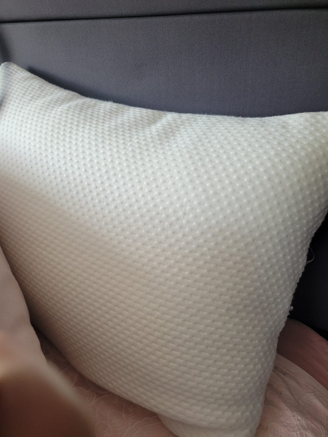 Customer photo review of Martian Dreams Pillow Protectors - 2 Pack