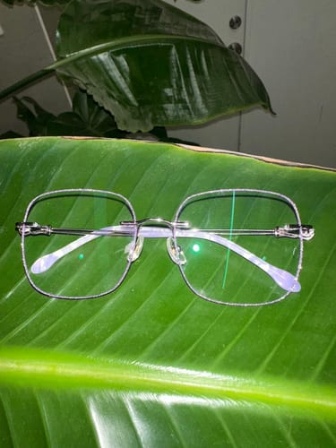 Customer photo review of Lilac