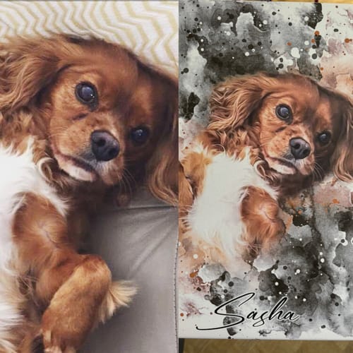 Customer photo review of Your Cat as Watercolor Portrait