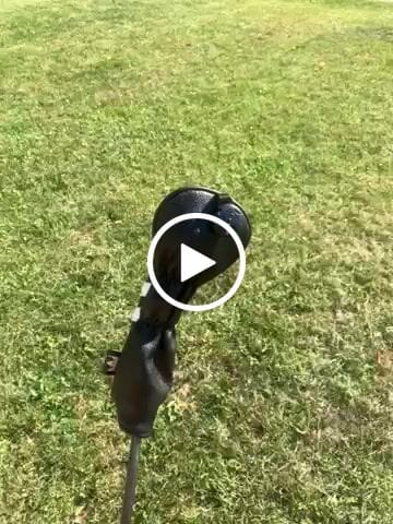 Customer video review of Personalized White Stripes Wood Head Cover With Your Logo And Name
