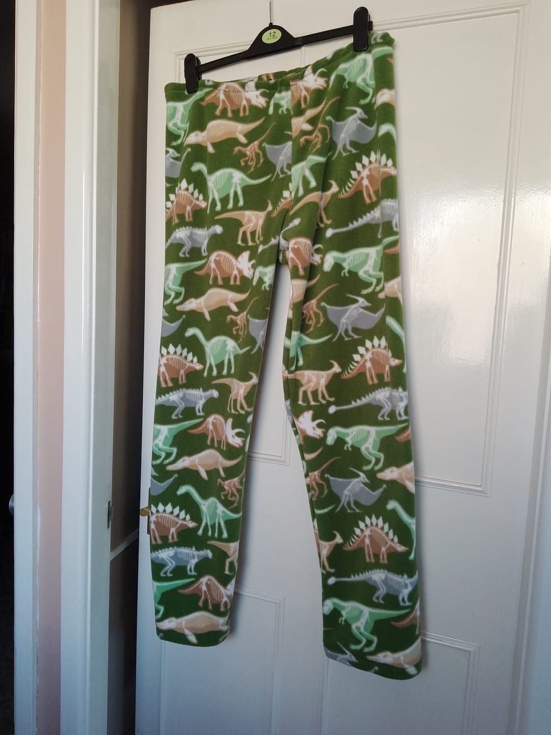 Customer photo review of Dino Skeletons on Green Anti Pill Polar Fleece Fabric
