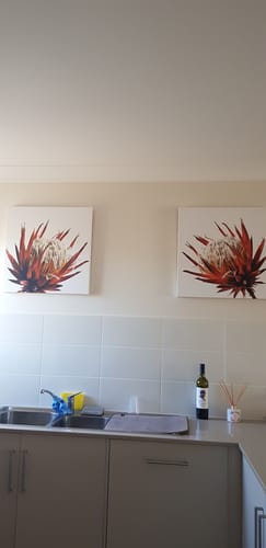 Customer photo review of Protea Growing Toward the Sun, Art Duo