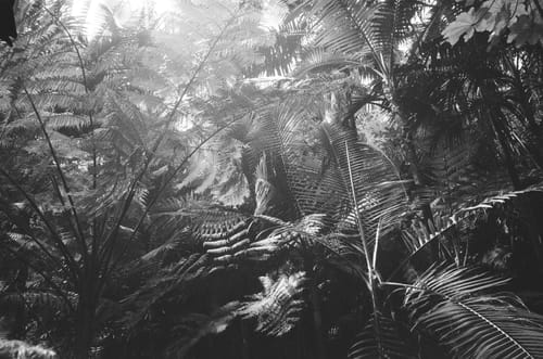 Customer photo review of Moab Exhibition Luster 300