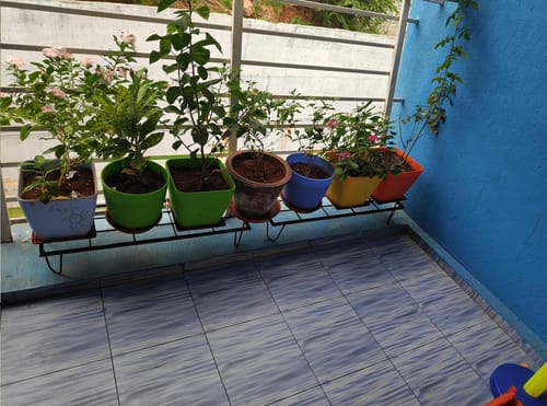 Customer photo review of United Crafts Indoor/Outdoor Flower Pot/Plant Stand (Set of 4)