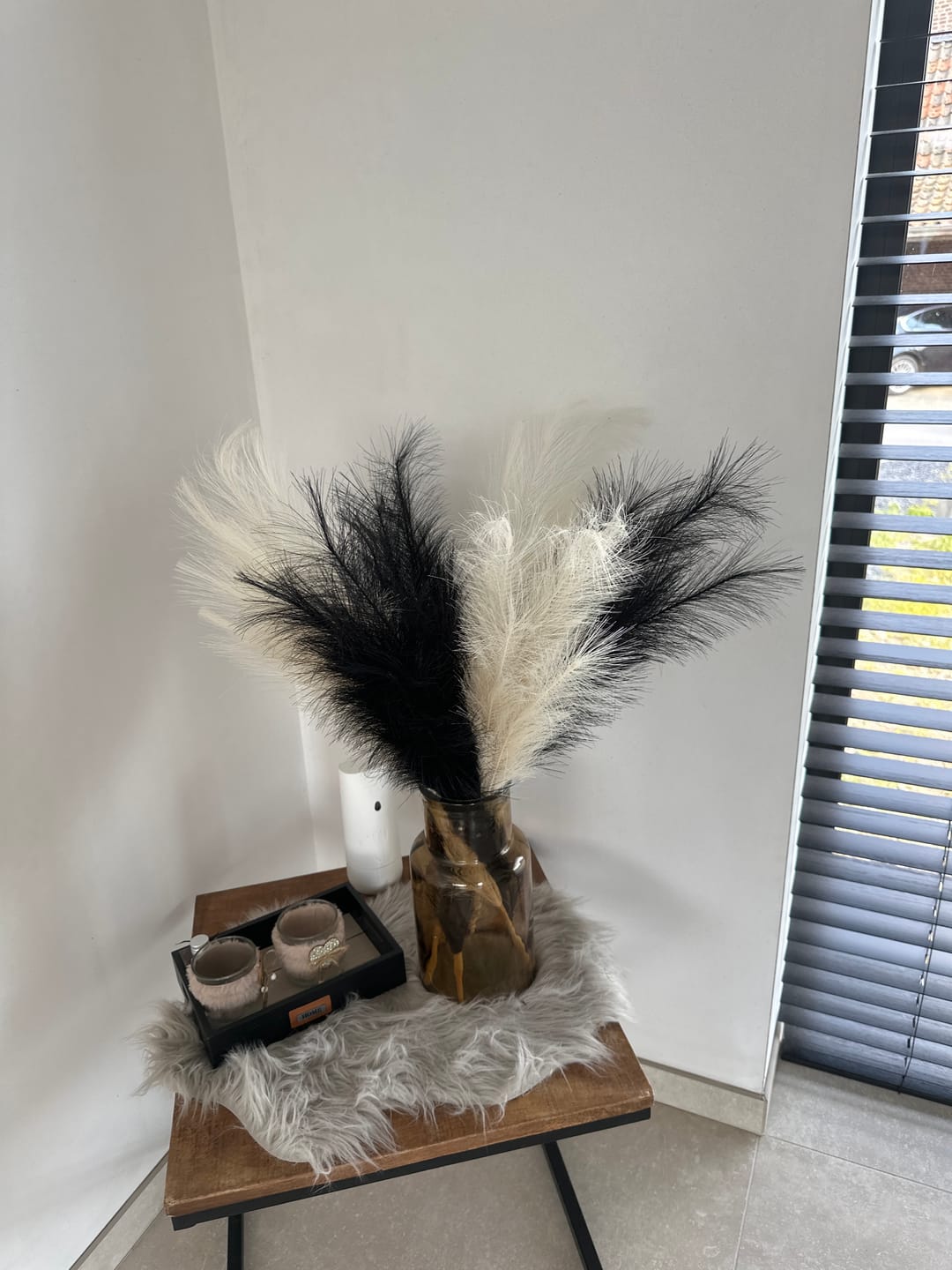 Customer photo review of Pampas 110cm (3 stengels)- Beige