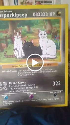 Customer video review of PokePet Canvas
