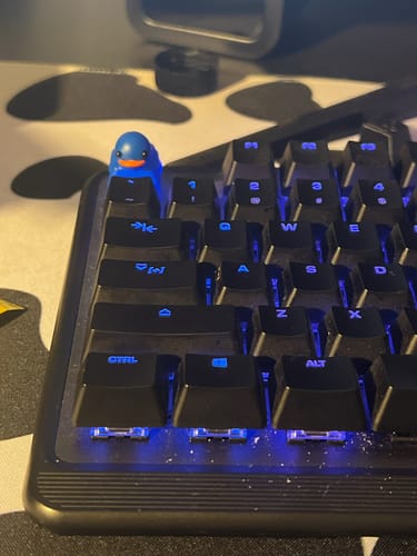 Customer photo review of Package Protection