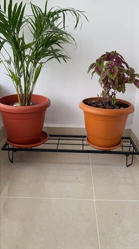 Customer photo review of United Crafts Indoor/Outdoor Flower Pot/Plant Stand (Set of 4)
