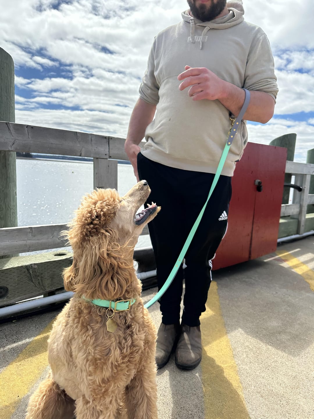 Customer photo review of Biothane Long Line Leash for Dogs with Detachable Handle