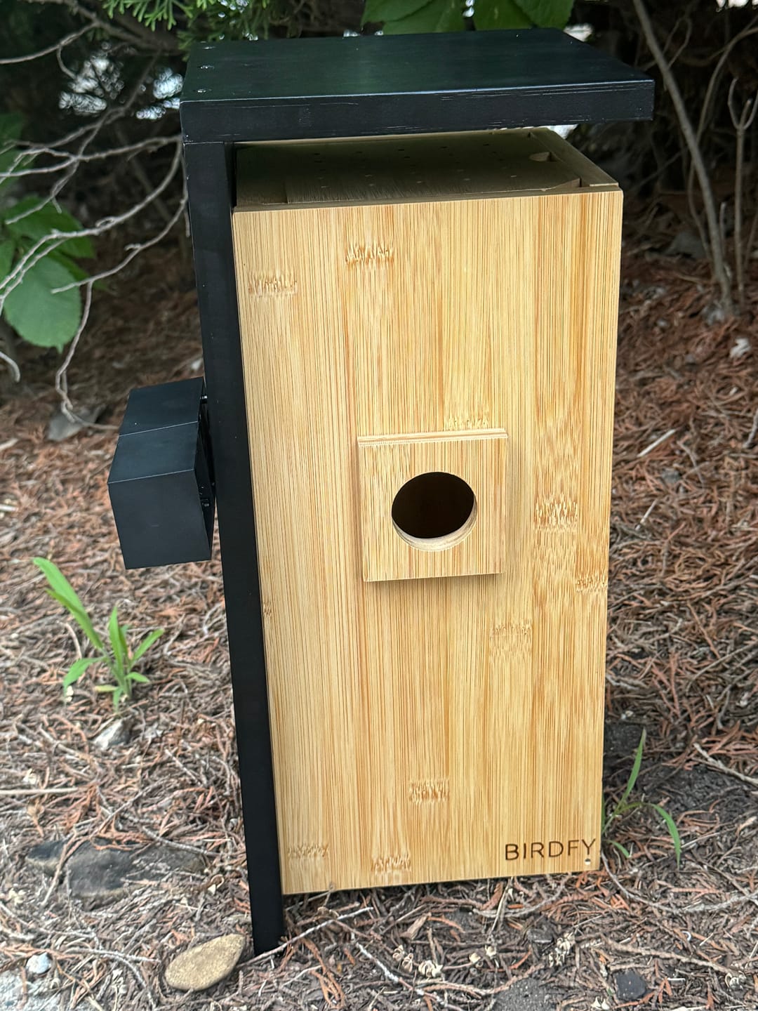 Customer photo review of Birdfy Nest - Smart Bird House with Dual Cameras