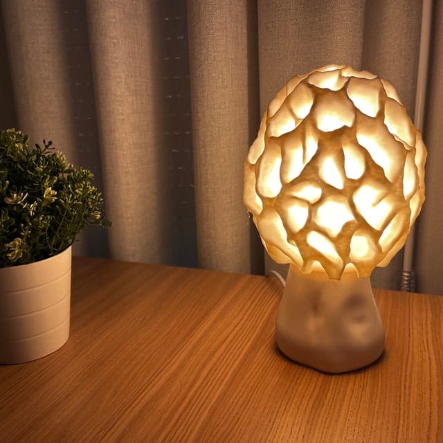 Customer photo review of Pilz Lampe: Morchel Pilz