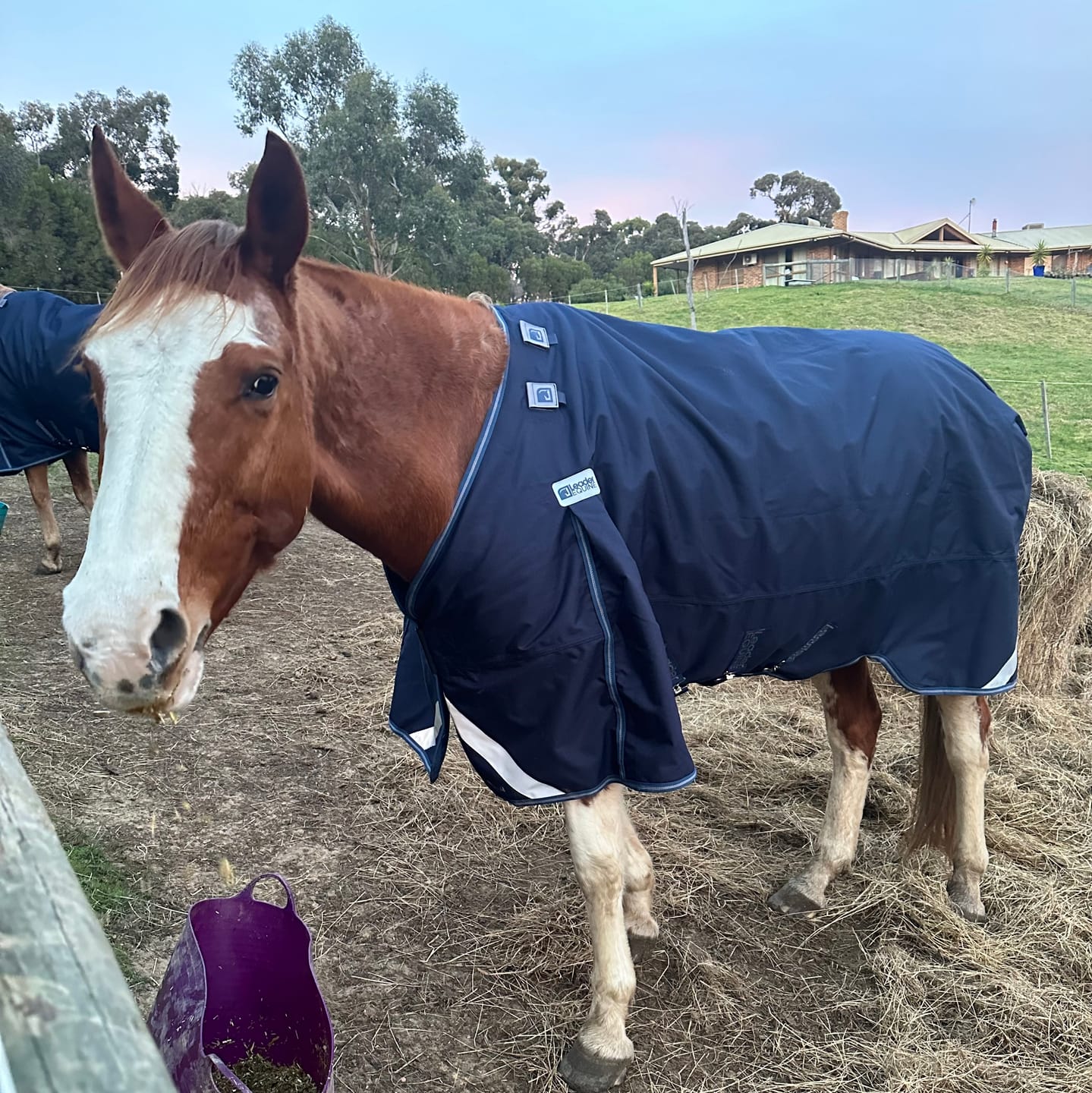 Customer photo review of LE Boxter Turnout Ripstop 200g