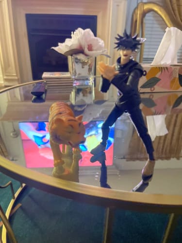 Customer photo review of Fushiguro Megumi S.H.Figuarts
